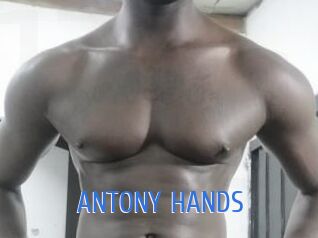 ANTONY_HANDS 12x Gay