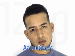 AaronReyes 12x Gay