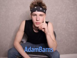 AdamBarns