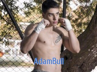 AdamBull