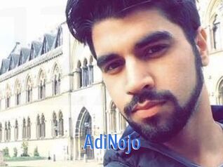 AdiNojo 12x Gay
