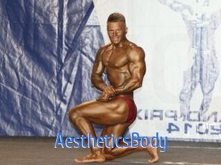 AestheticsBody 12x Gay