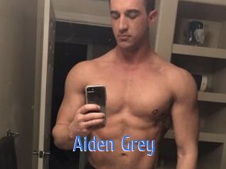 Aiden_Grey 12x Gay