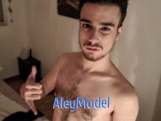 AleyModel