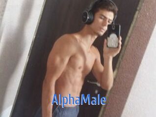 AlphaMale