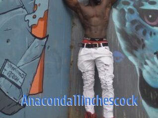 Anaconda11inchescock
