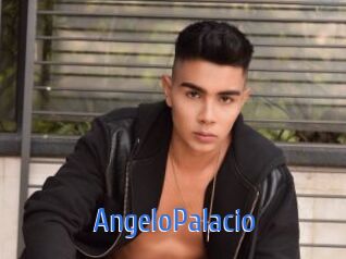 AngeloPalacio 12x Gay