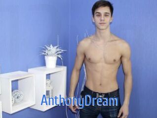 AnthonyDream 12x Gay