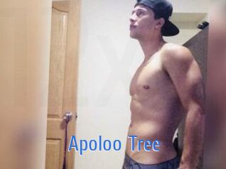 Apoloo_Tree 12x Gay