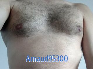 Arnaud95300