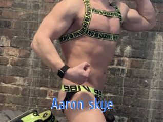 aaron_skye 12x Gay