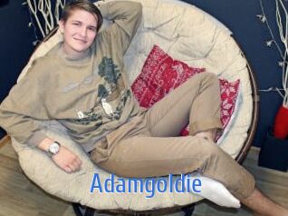 adamgoldie 12x Gay