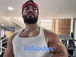 alphapulsex 12x Gay
