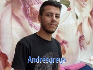 Andresgreys