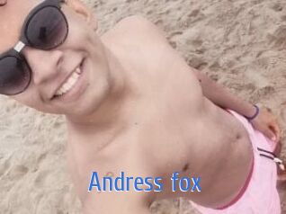 Andress_fox