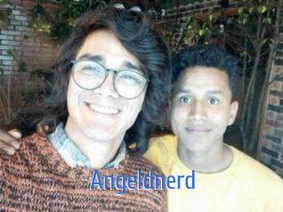 Angeldnerd