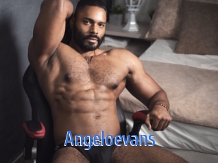 Angeloevans