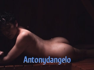 antonydangelo 12x Gay