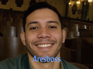 aresboss 12x Gay