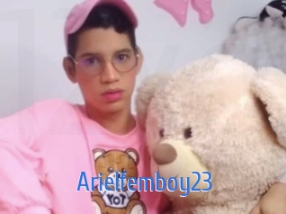 Arielfemboy23