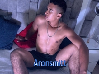 aronsmitt 12x Gay