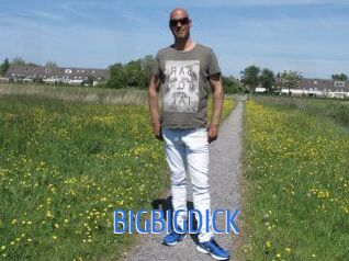 BIGBIGDICK 12x Gay