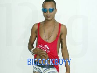 BIGCOCKBOYY