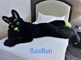 BaniBun