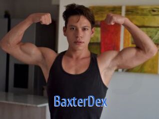 BaxterDex