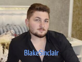 BlakeSinclair 12x Gay