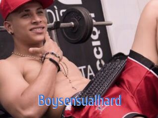 Boysensualhard 12x Gay