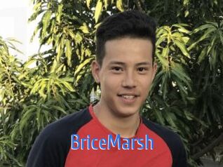 BriceMarsh