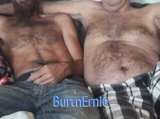 BurtnErnie 12x Gay