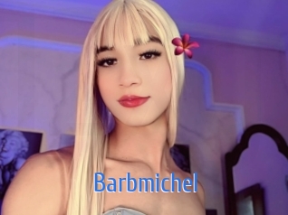 barbmichel 12x Gay