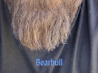 bearbull 12x Gay
