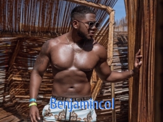 benjamincol 12x Gay
