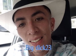 big_dick23 12x Gay