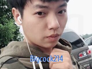Bigcock214