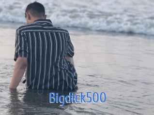 Bigdick500