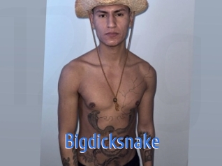 Bigdicksnake