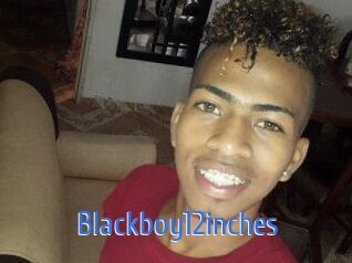 Blackboy12inches