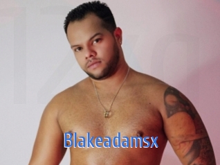 blakeadamsx 12x Gay