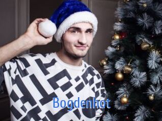 bogdenhot 12x Gay