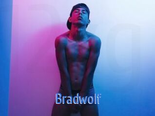 bradwolf 12x Gay