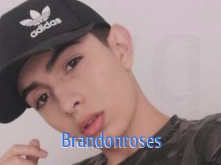 brandonroses 12x Gay