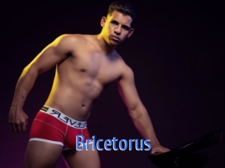 bricetorus 12x Gay