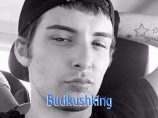 Budkushking