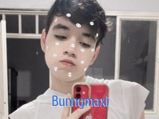 Bunnymaxi