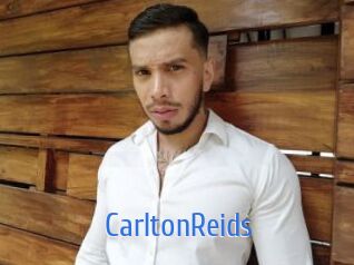 CarltonReids 12x Gay
