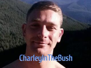 CharleyInTheBush
